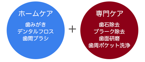 ホームケアと歯科医院での専門ケアの両立